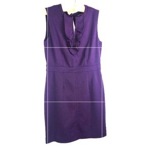 Banana Republic grape/purple fitted dress.